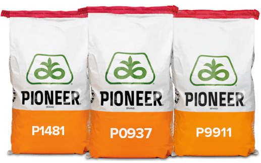 pioneer