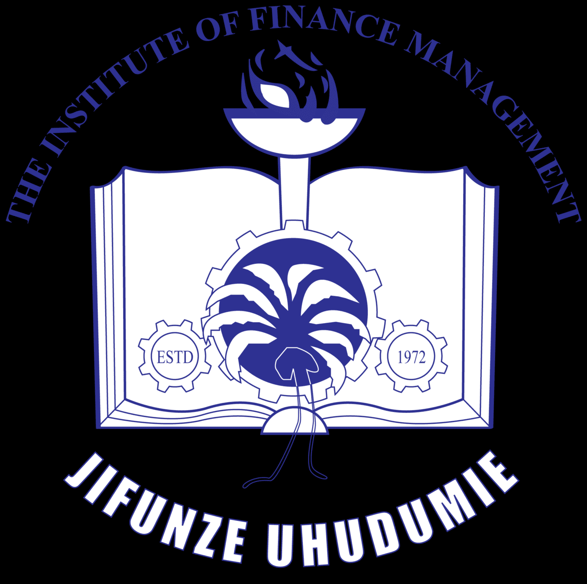 IFM