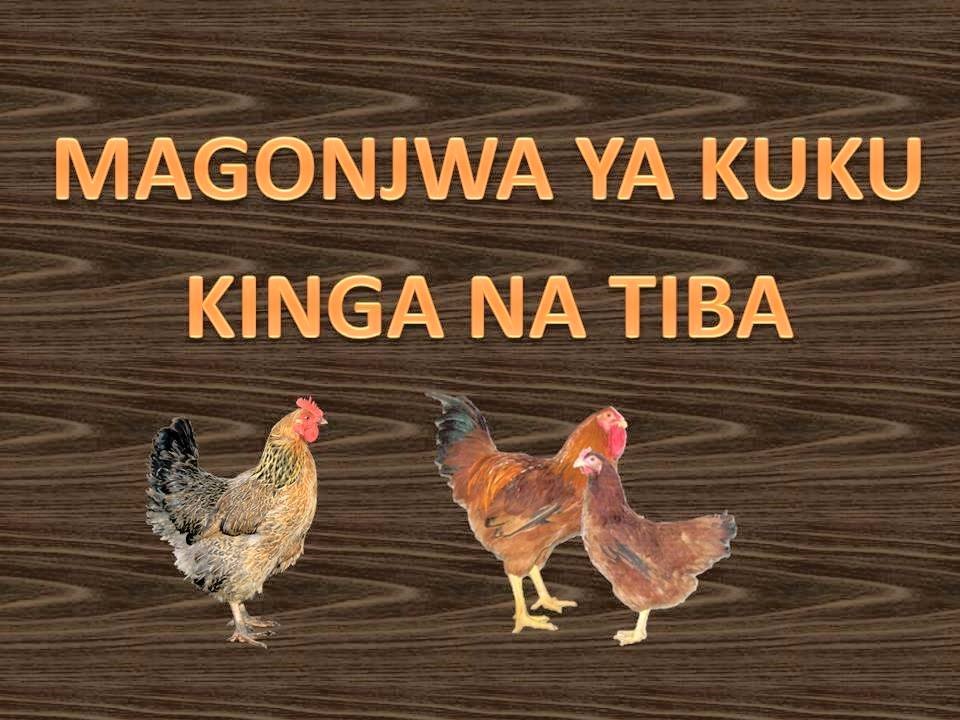 Dawa za Kutibu Magonjwa ya Kuku